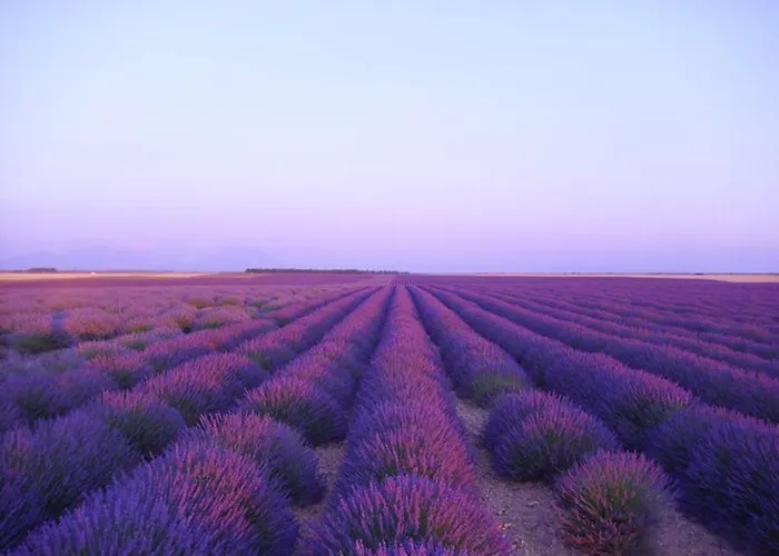 Les Restanques De Moustiers-Sainte-Marie
